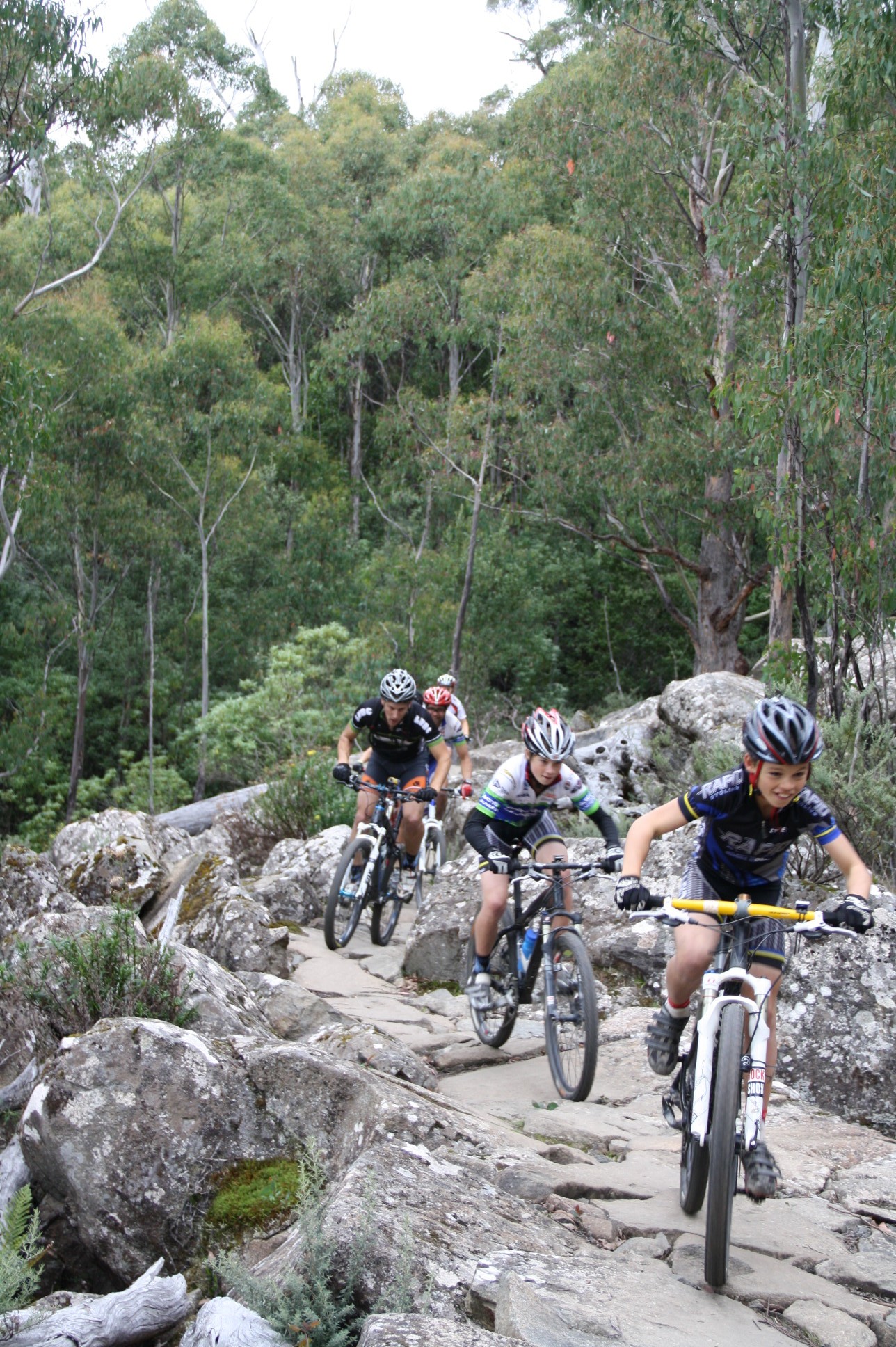 mt wellington mountain bike trails